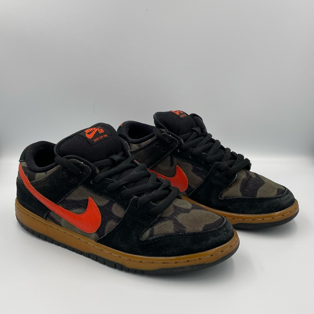 Nike Dunk Low Pro SB “Brian Anderson” 313170-083